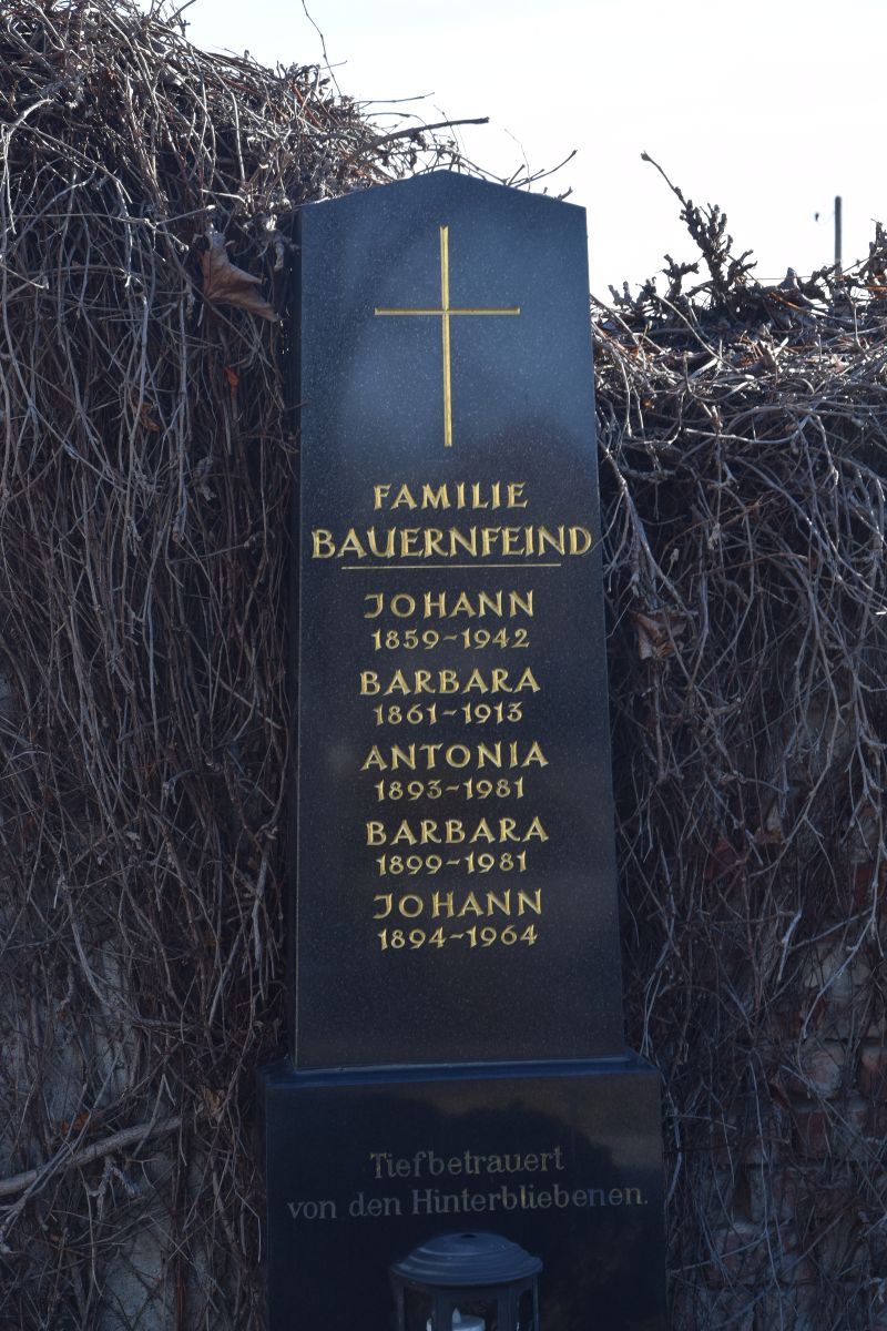 Bauernfeind