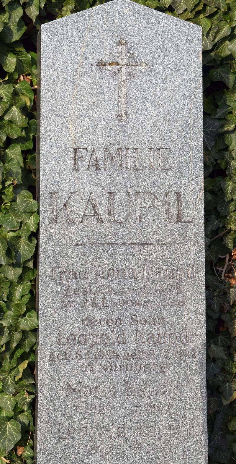 Kaupil