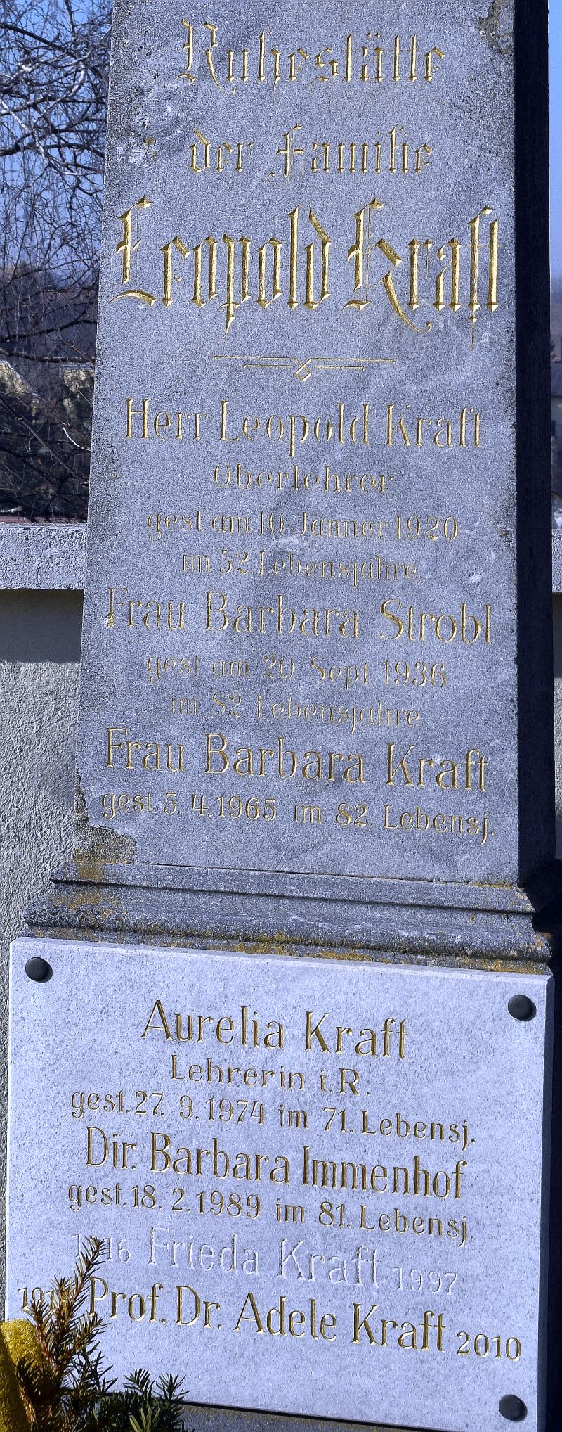 Kraft; Strobl; Immenhof