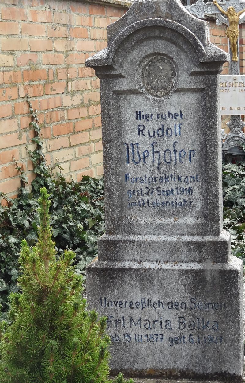 Wehofer; Balka