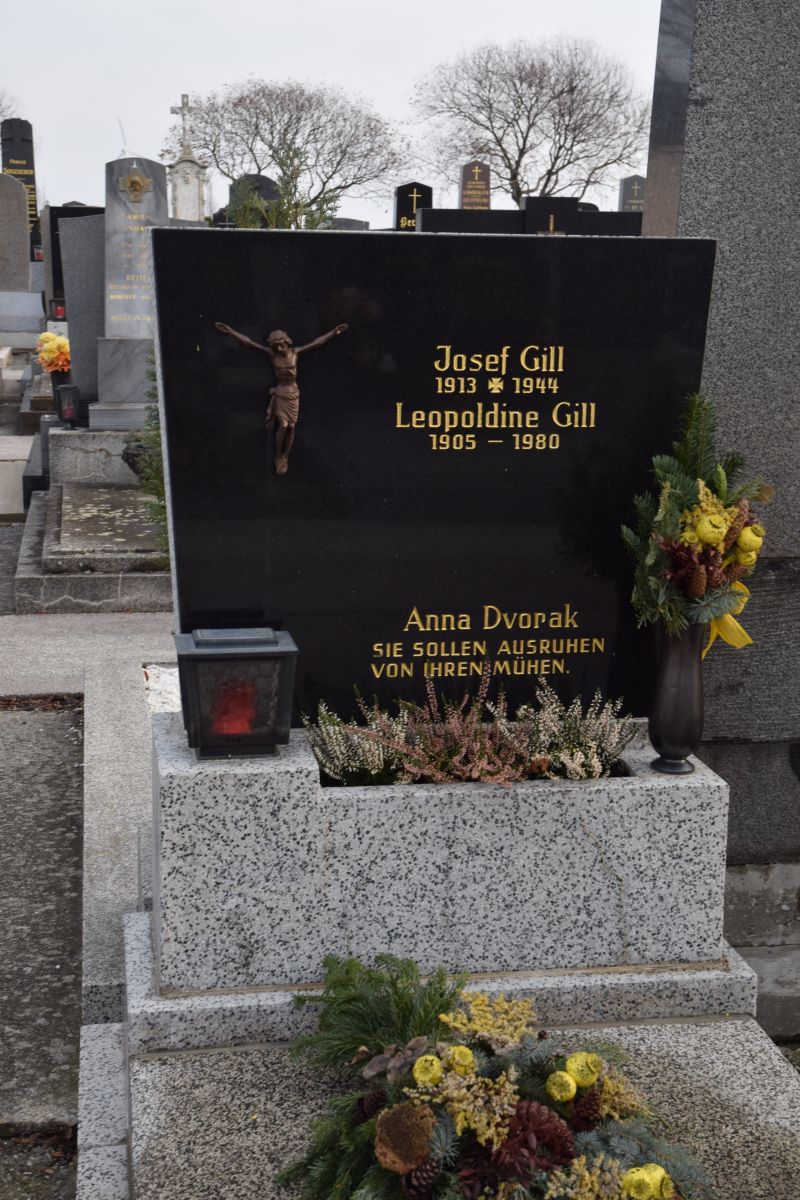 Gill; Dvorak