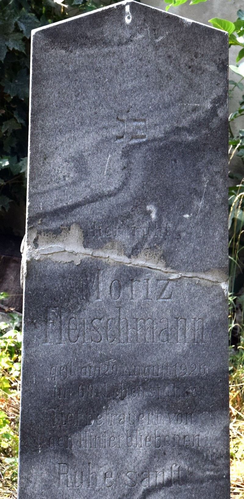 Fleischmann