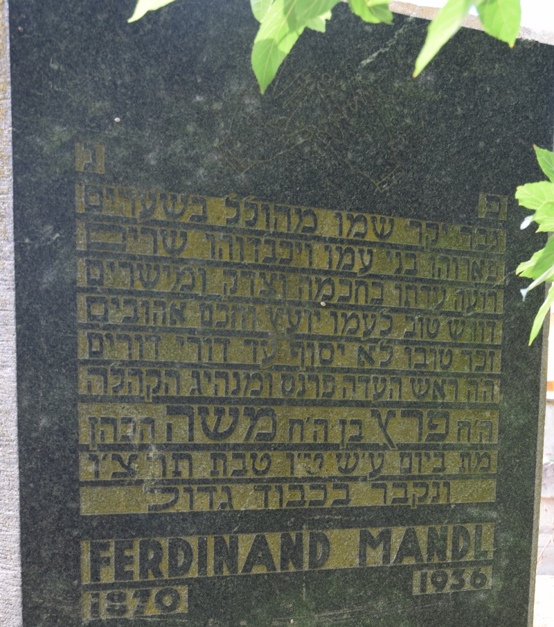 Mandl