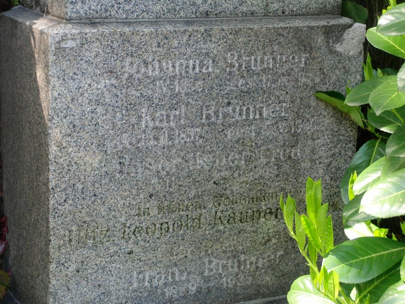 Brunner; Kauper