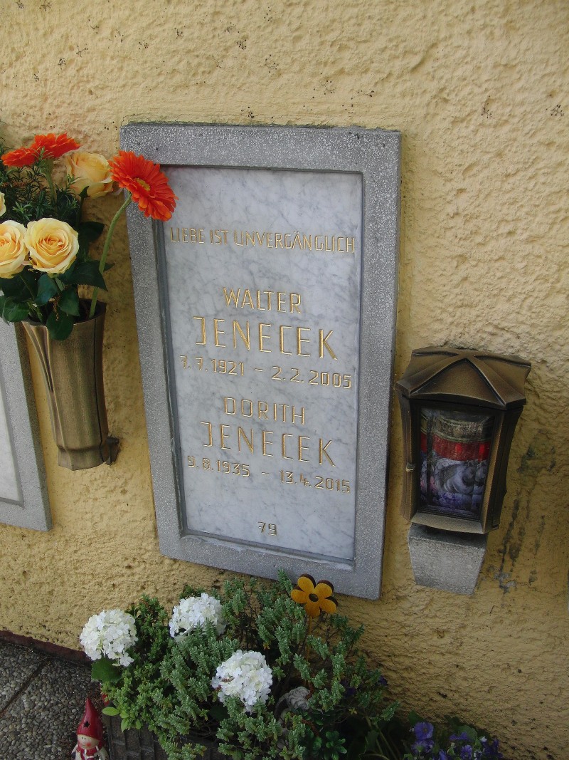 Jenecek