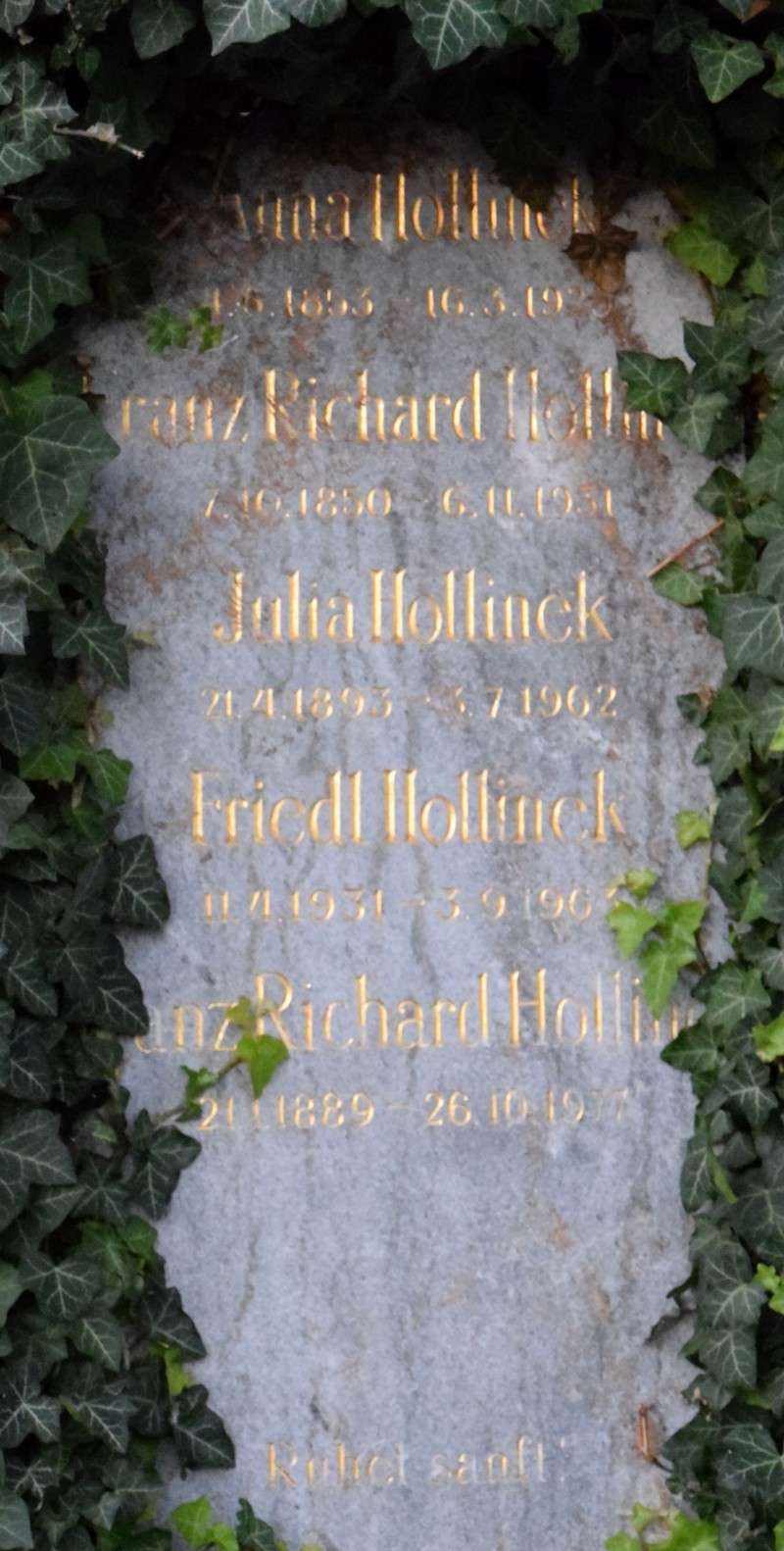 Hollinek