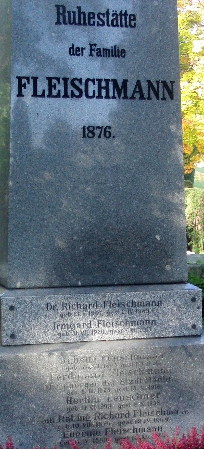 Fleischmann; Lenschner