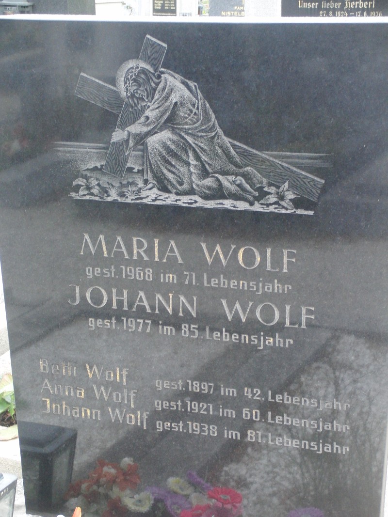 Wolf