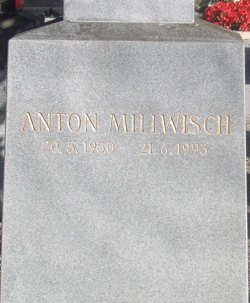 Millwisch