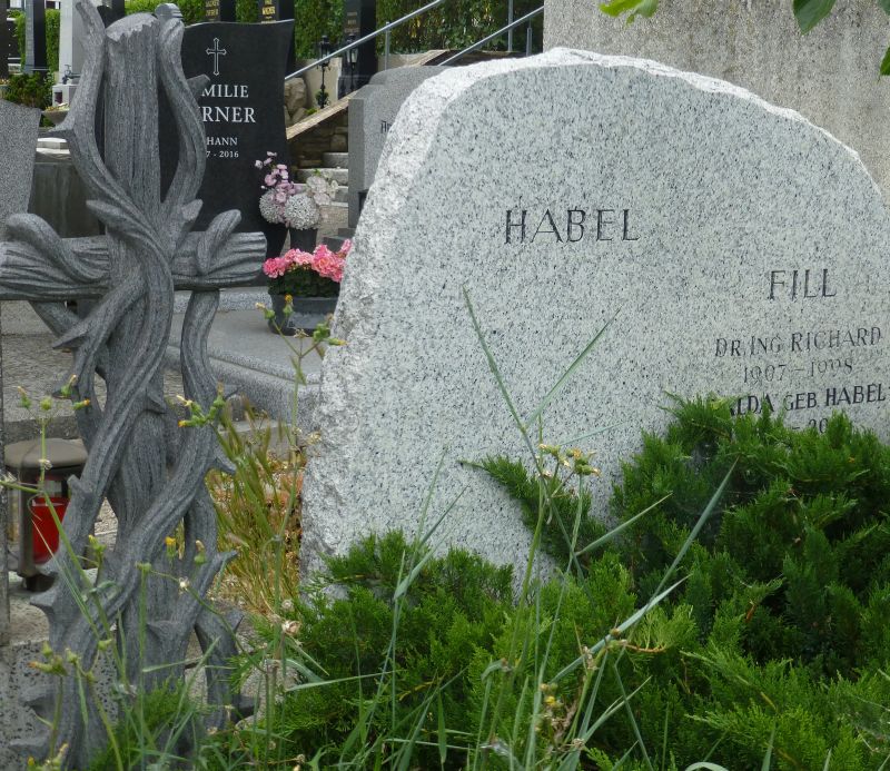 Habel; Fill