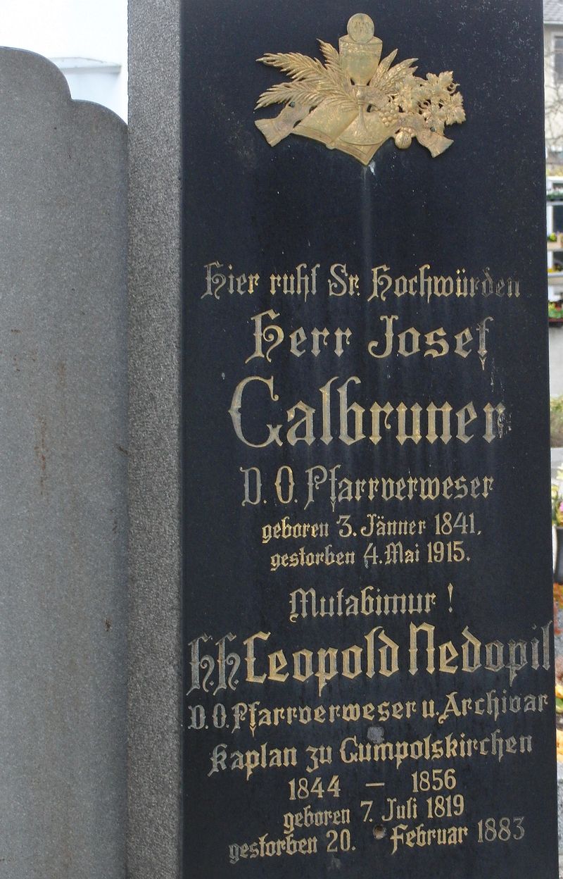 Galbruner; Nedopil