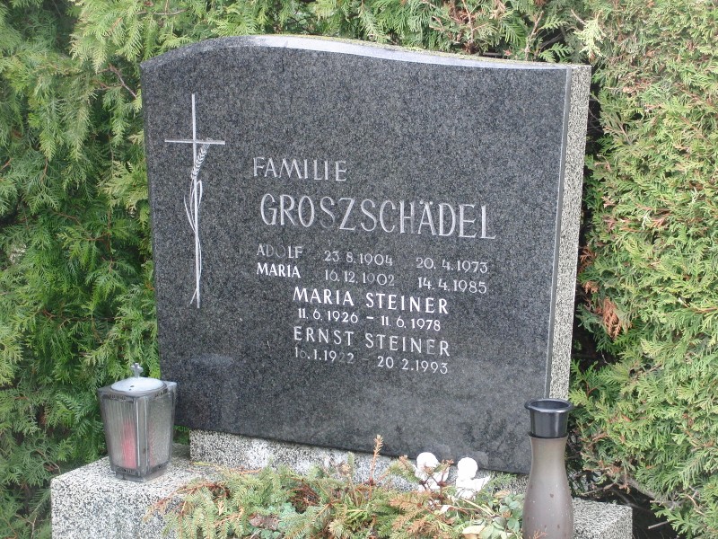 Groszschädel; Steiner