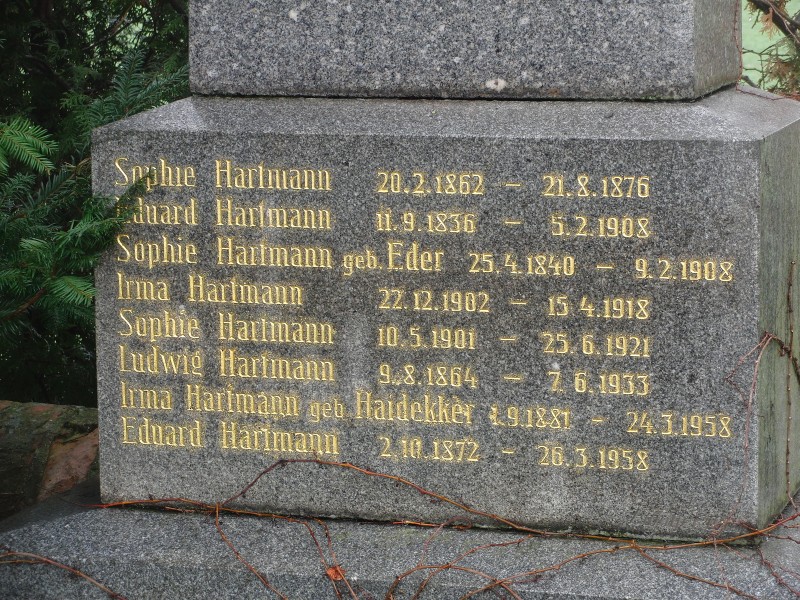 Hartmann; Eder; Haidekker