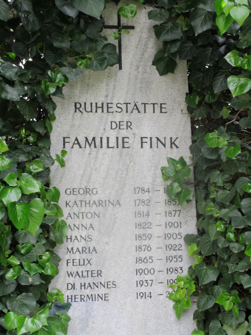 Fink