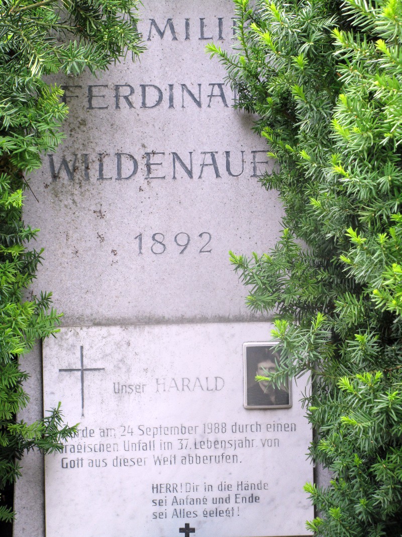 Wildenauer