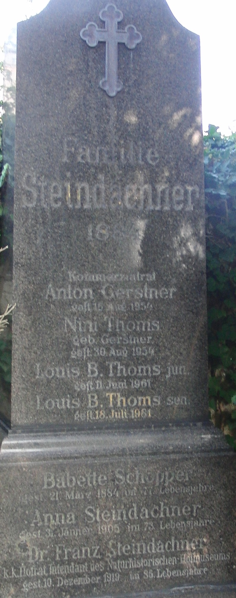 Steindachner; Thoms; Gerstner; Schopper