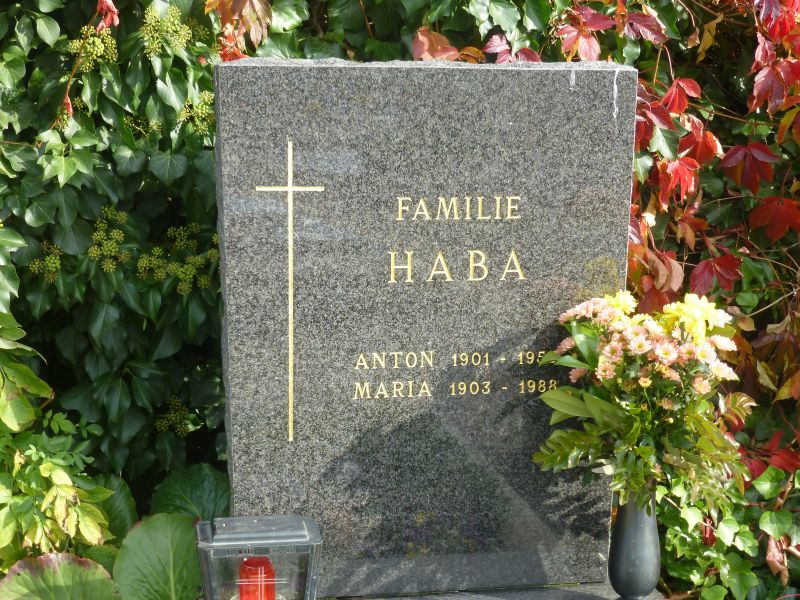 Haba