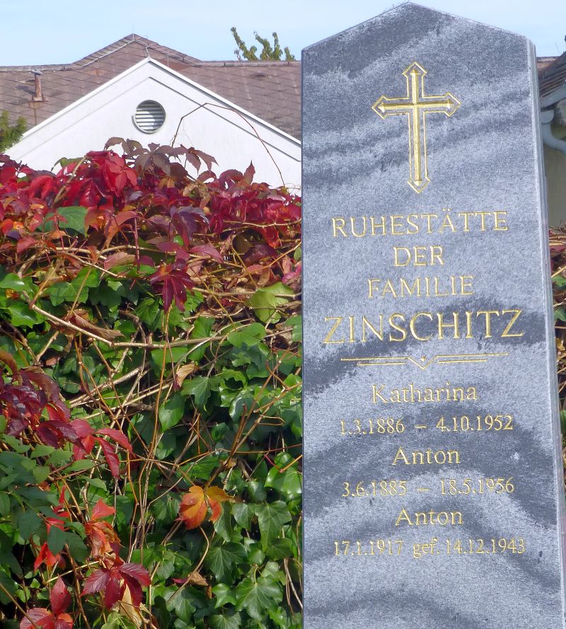 Zinschitz
