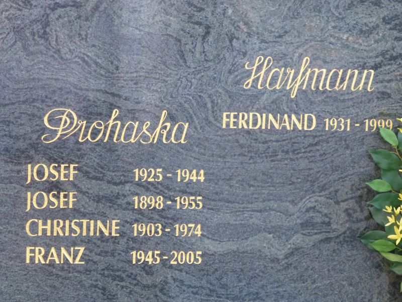Harfmann; Prohaska