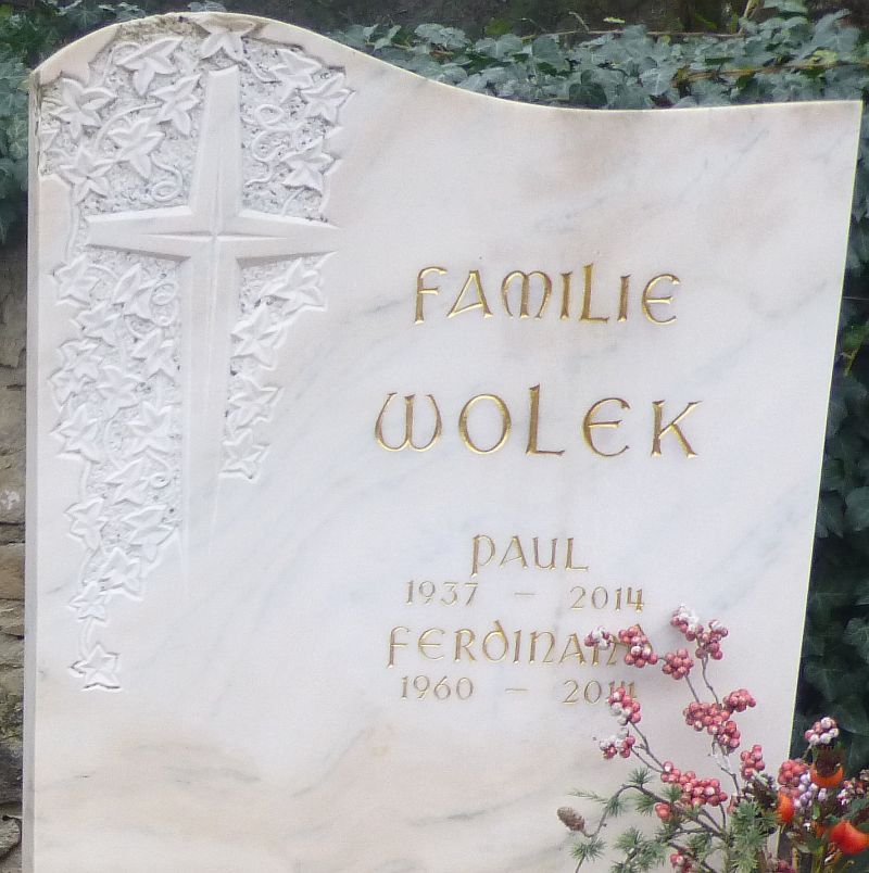 Wolek