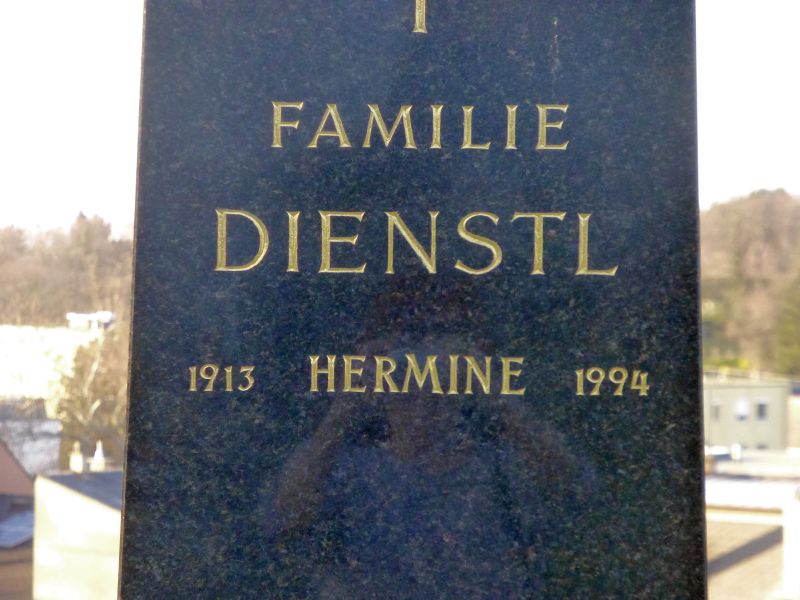 Dienstl