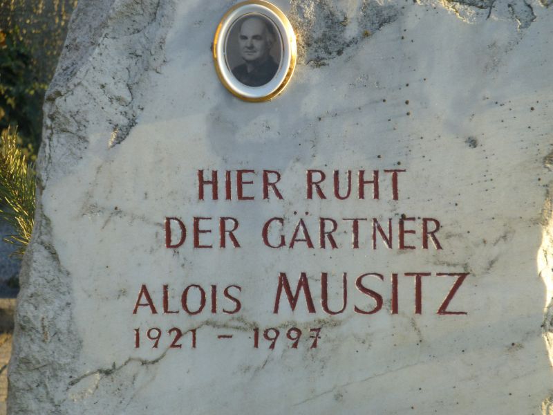 Musitz