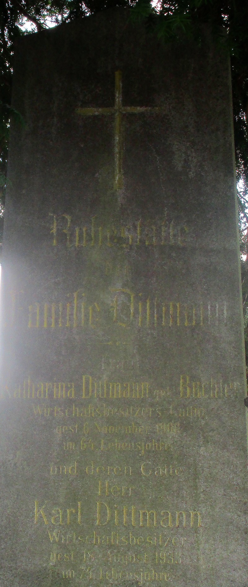 Dittmann; Buchter