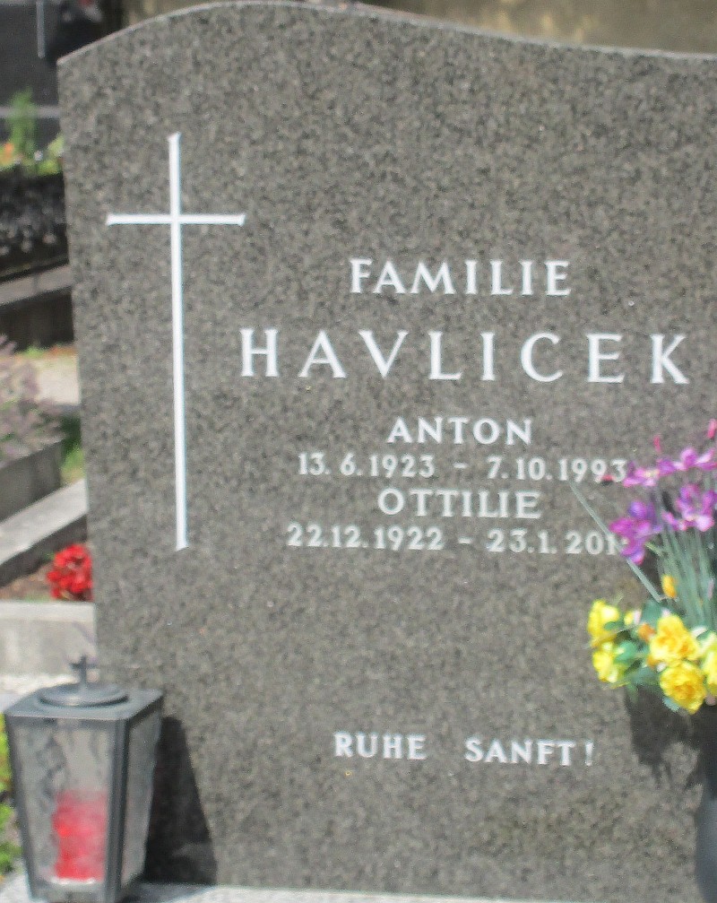 Havlicek