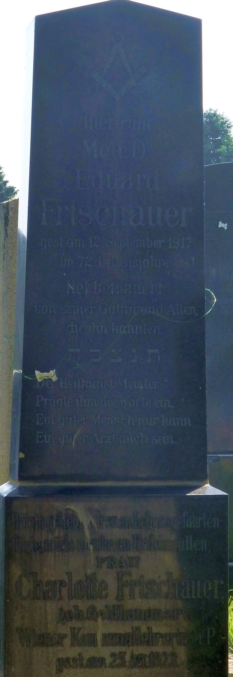 Frischauer