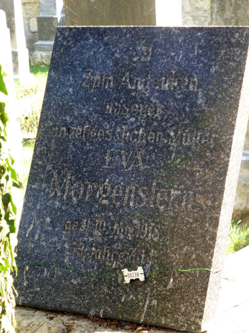 Morgenstern