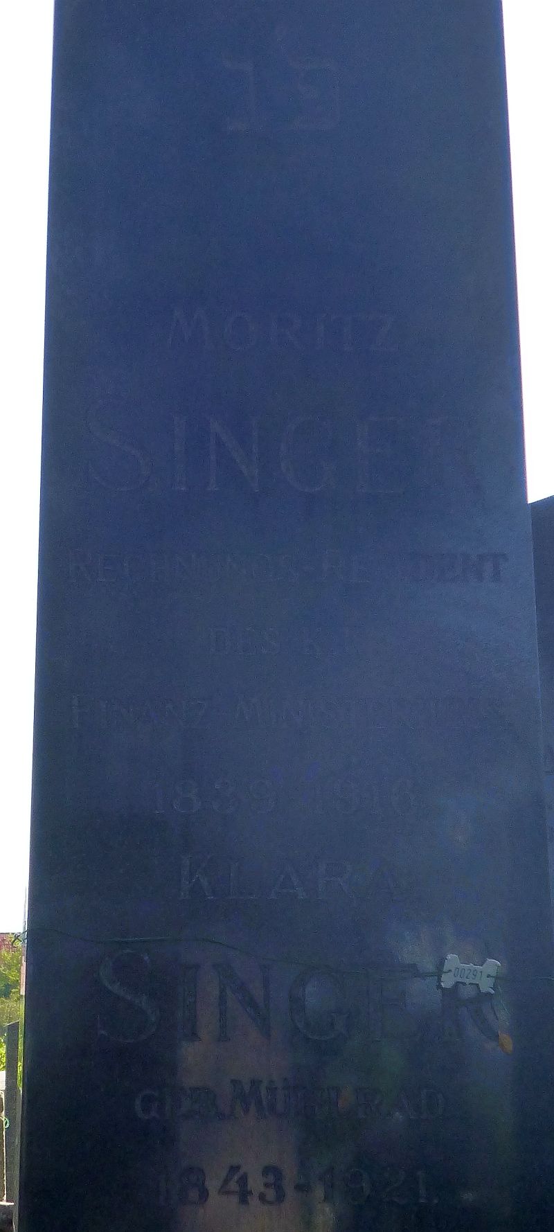Singer