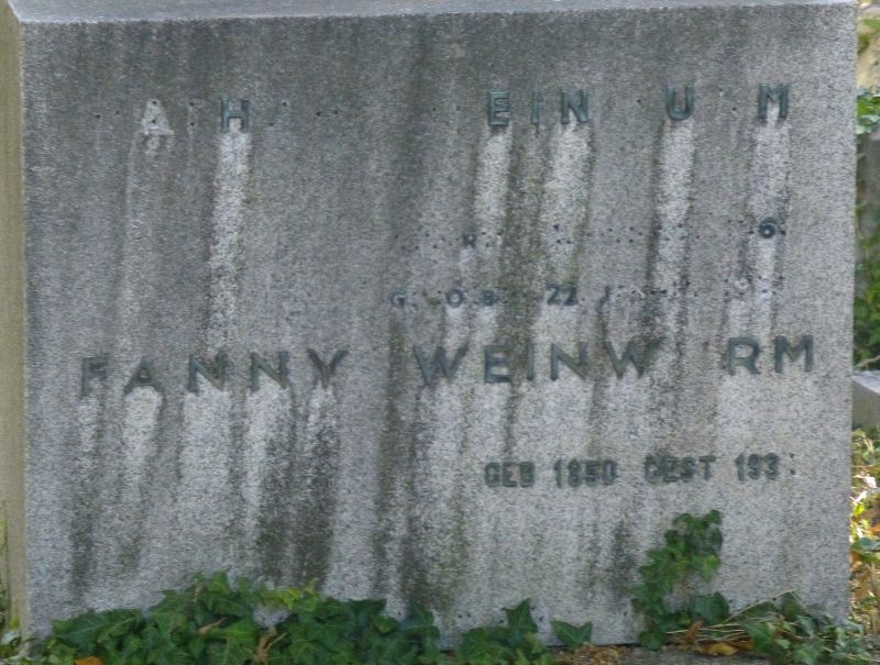 Weinwurm