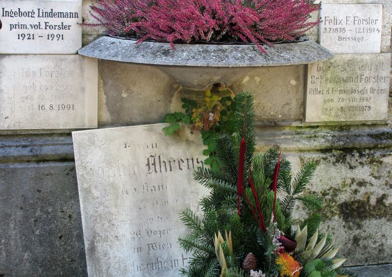 Forster; Lindemann; Ahrens; von Tükory; Gorski