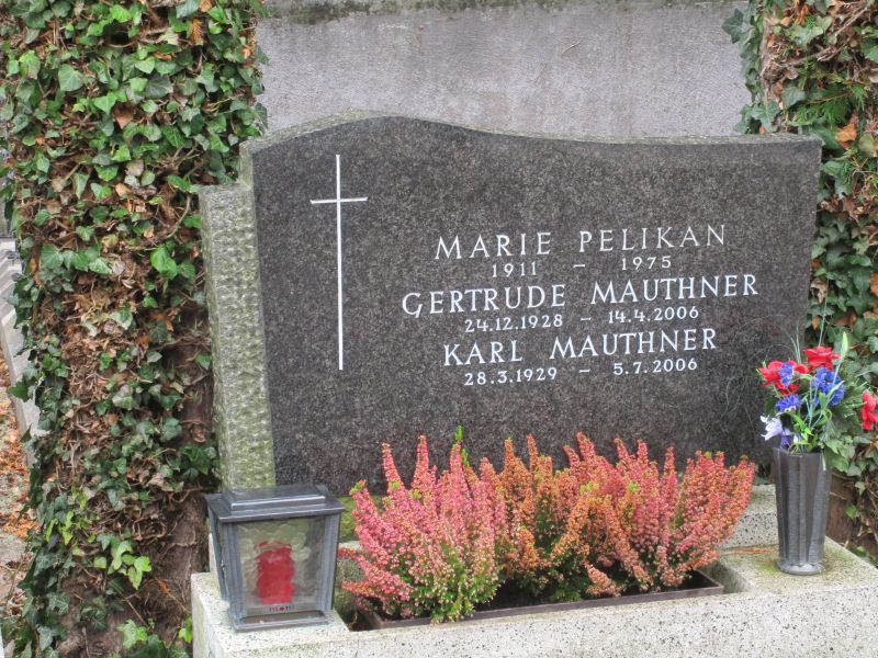 Pelikan; Mauthner