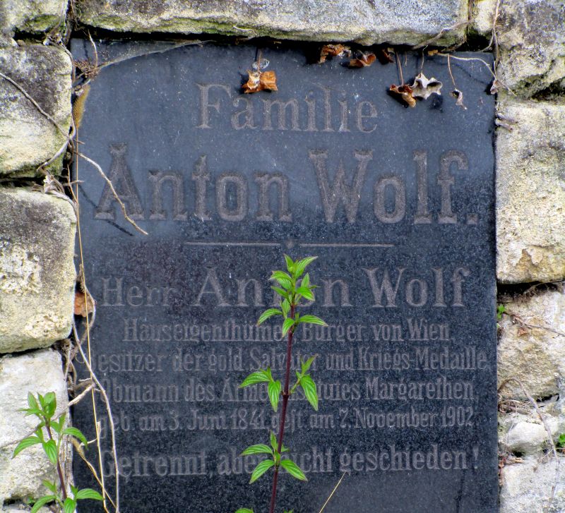 Wolf