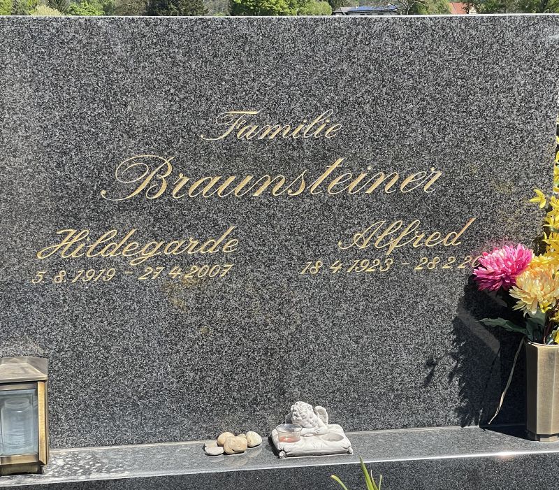 Braunsteiner