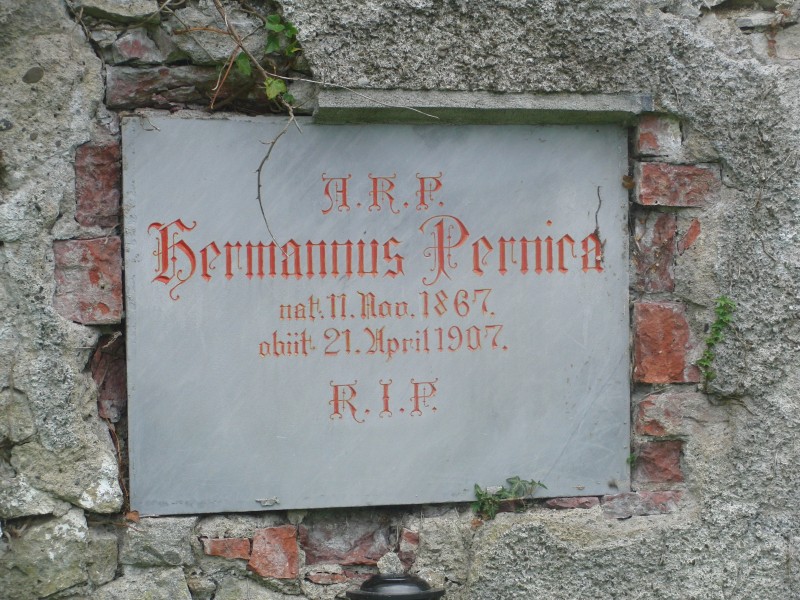 Pernica