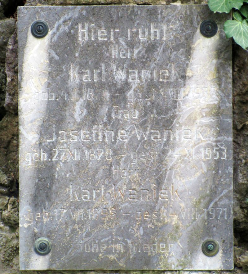 Waniek