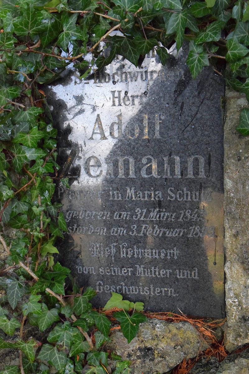Zemann