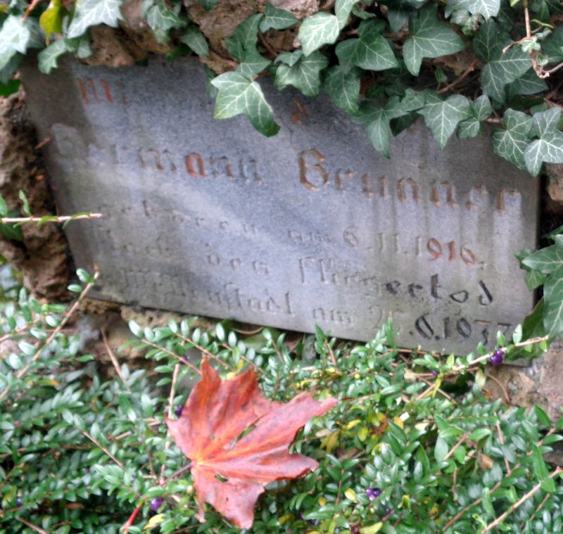 Brunner