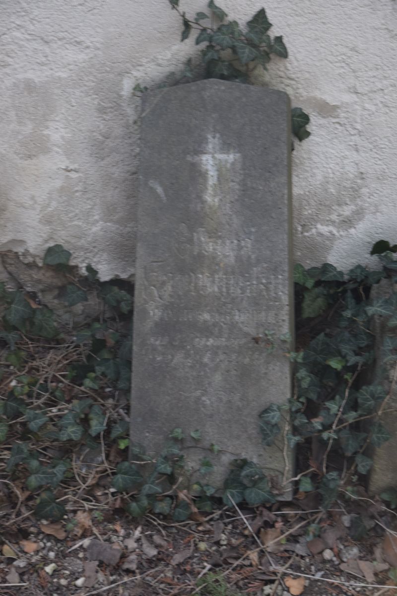 Karwinska v. Karwin, Elvira Freiin