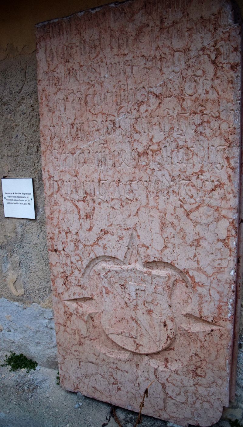 Lapidarium Domplatz Grabstein; Stainer; Cuspinian
