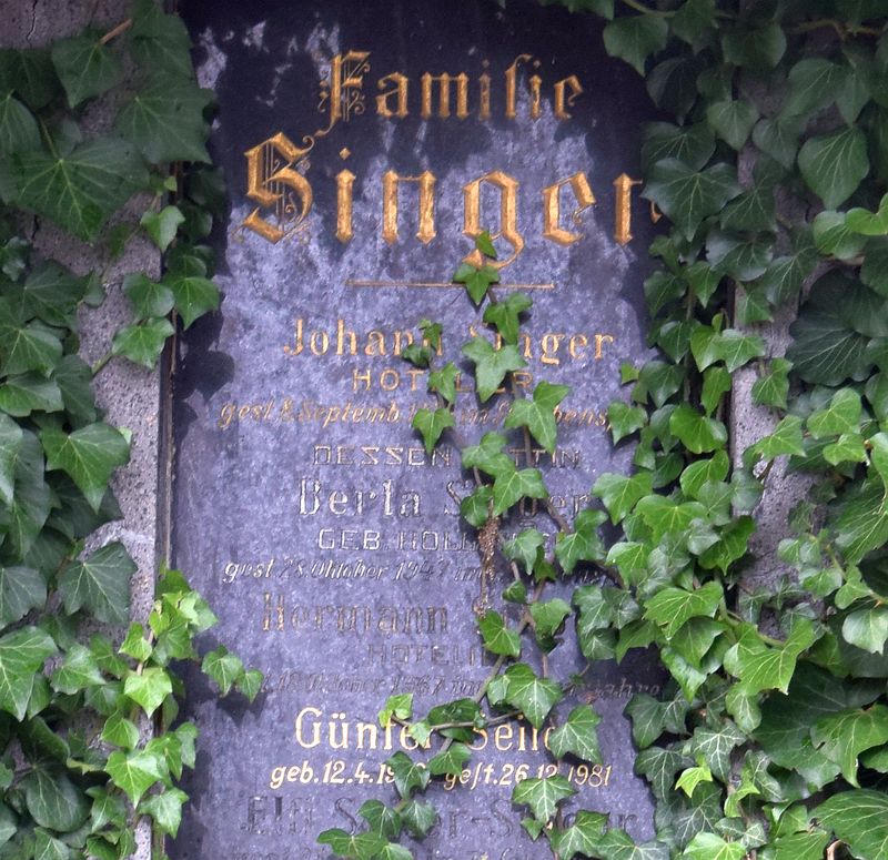 Singer