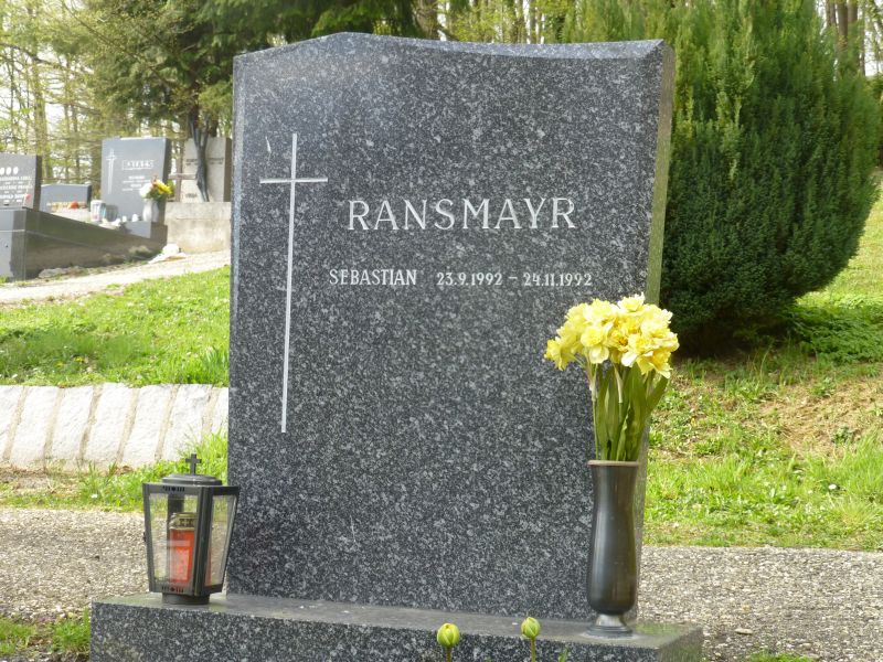 Ransmayr