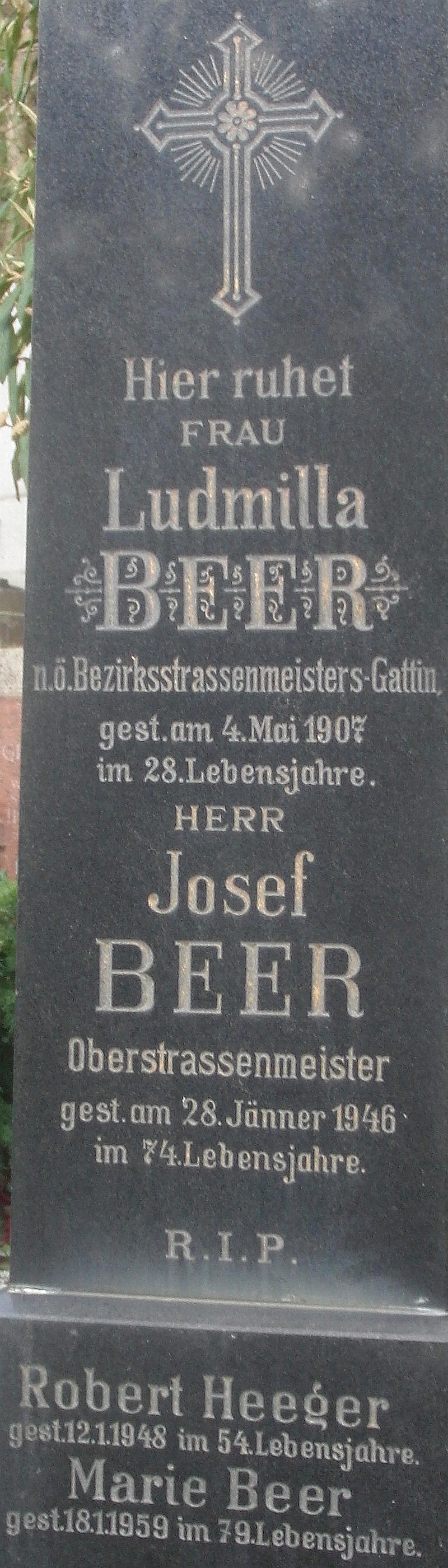 Beer; Heeger