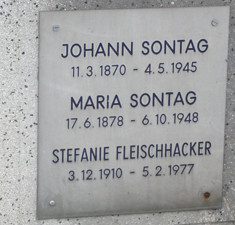 Sontag; Fleischhacker