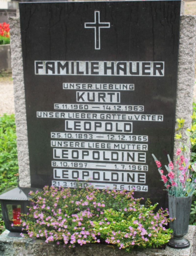 Hauer