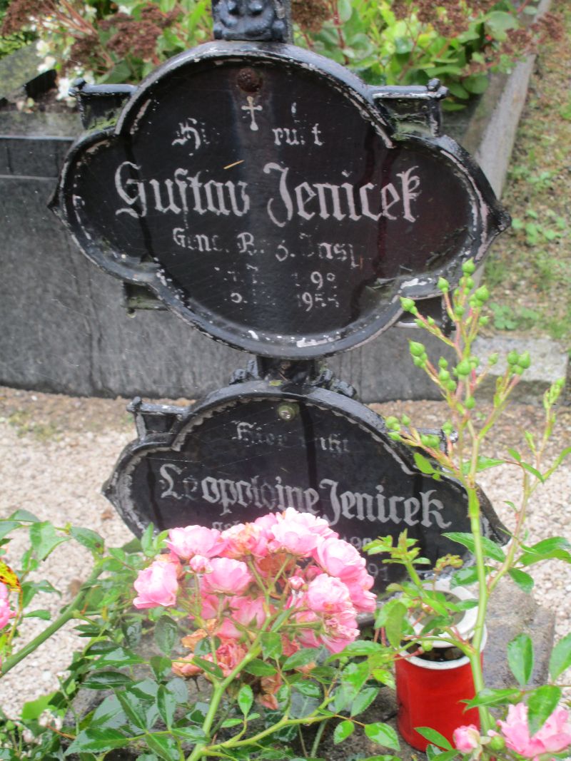 Jenicek