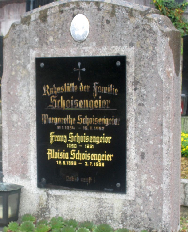 Schoisengeier