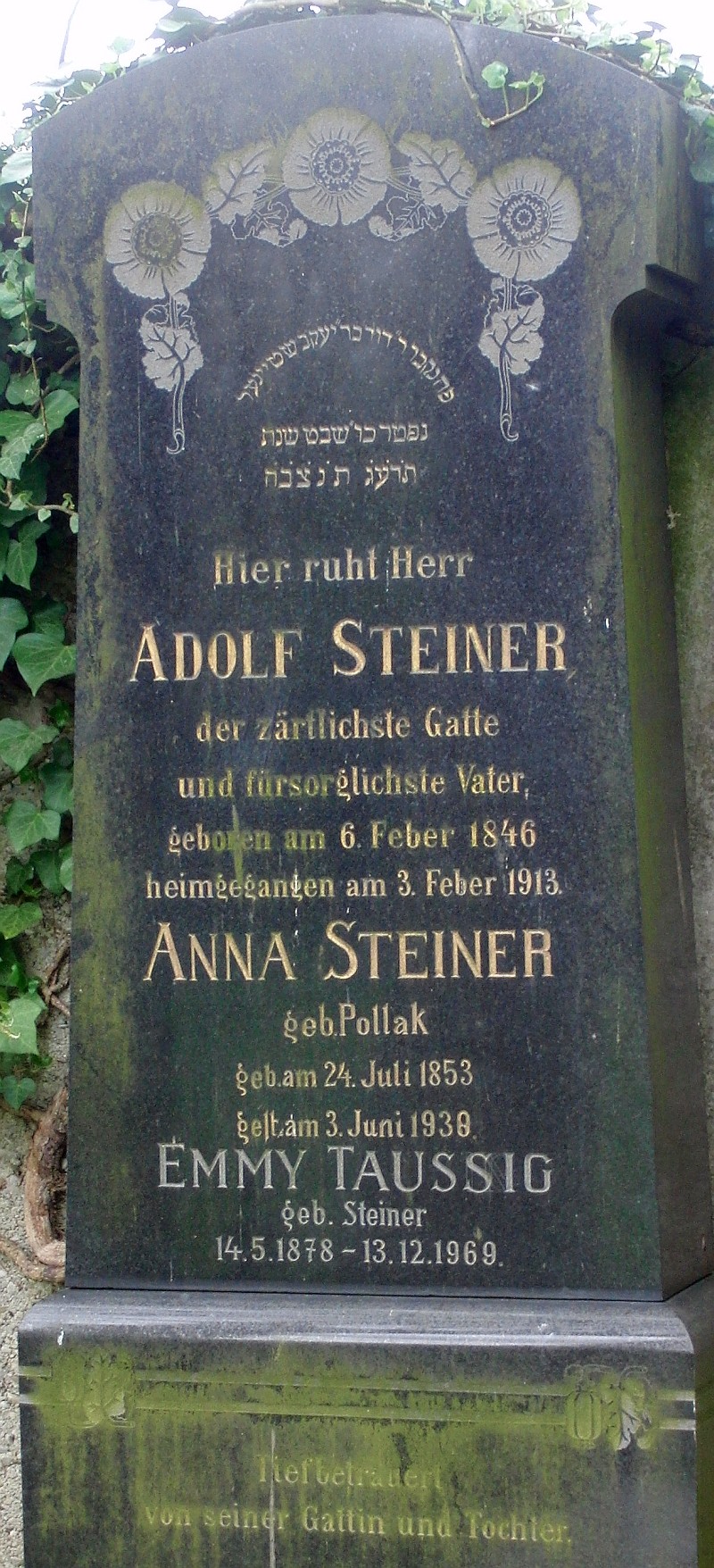 Steiner; Steiner geb. Pollak; Taussig geb. Steiner